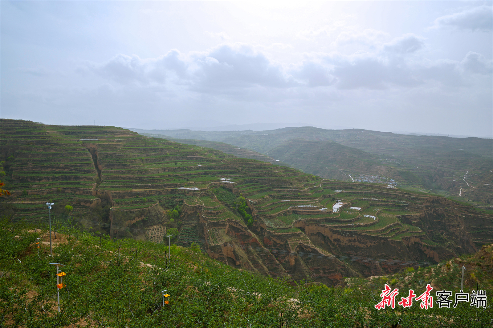 FZ007231585392_A4458427