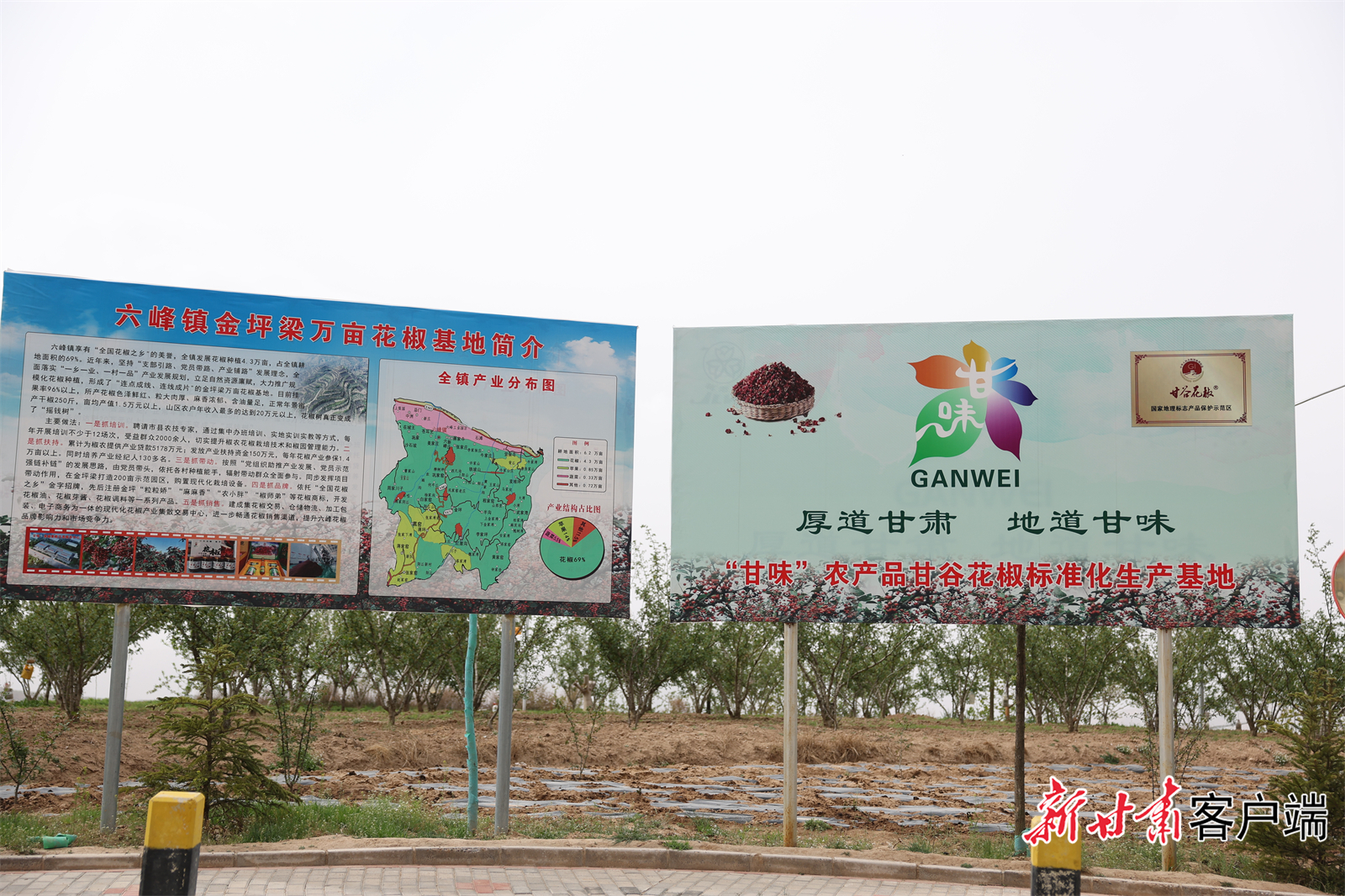 FZ007231585392_A4458426