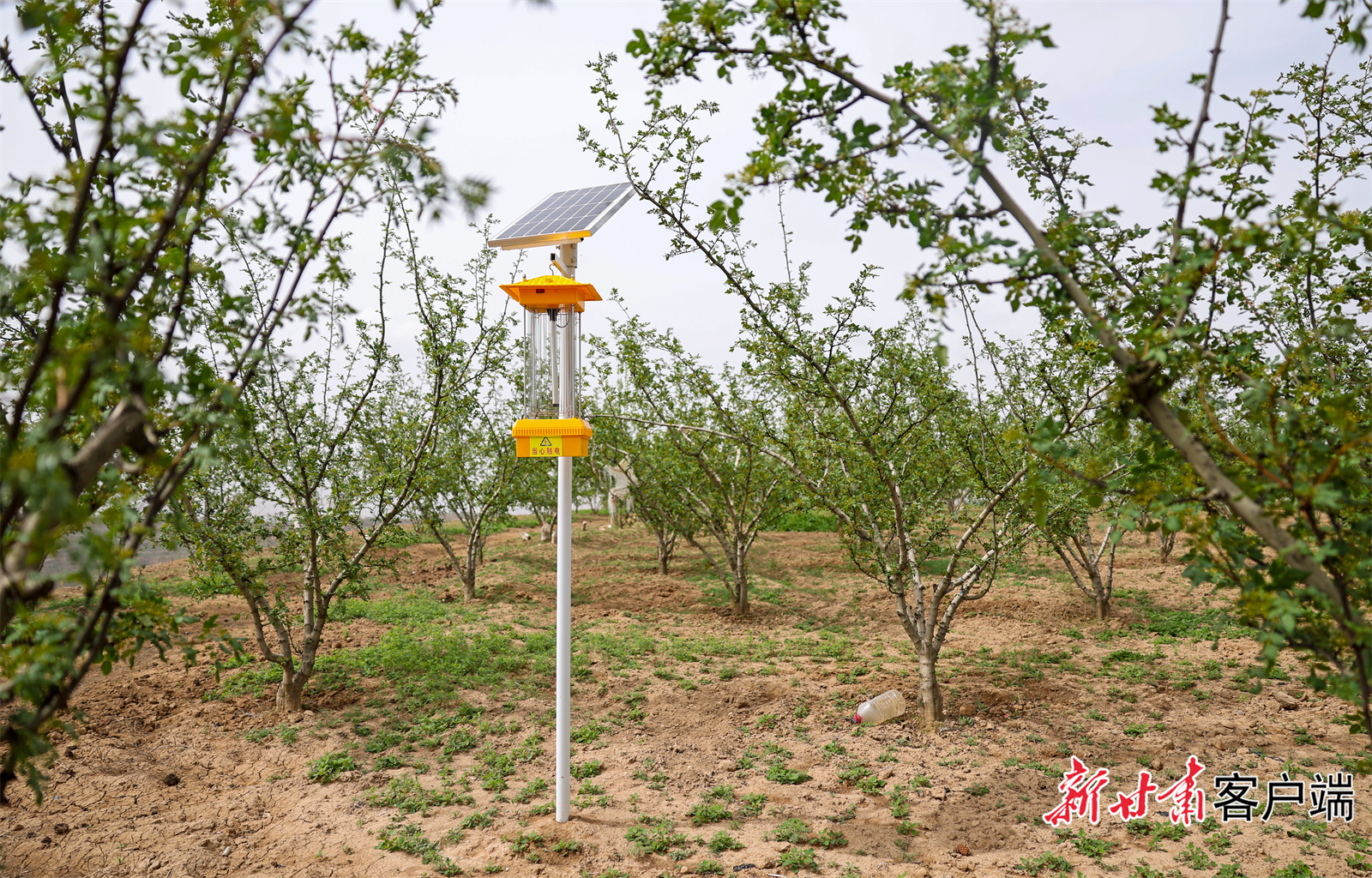 FZ007231585392_A4458428