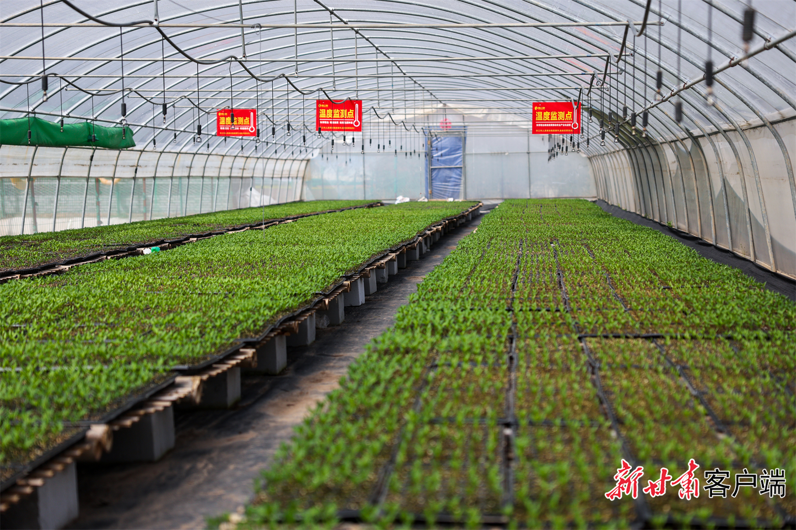 FZ007231585392_A4458430